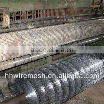 Galvanized Welded Wire Mesh Roll/Panels/factory