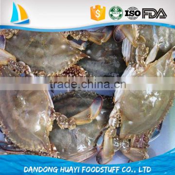 China original yellow sea frozen crab manufacturers