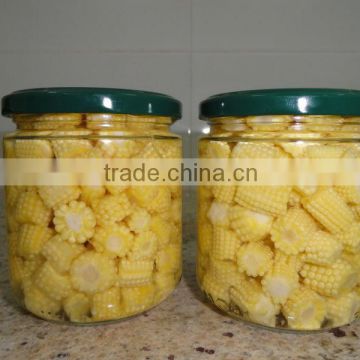 Baby Corn Cut in Brine or Vinegar