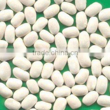 Spanish White Beans