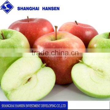 Import Agent of Chile's apple import agency service