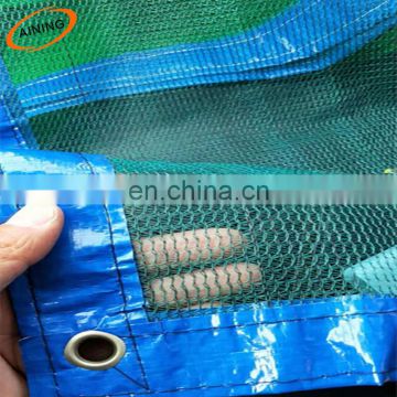 Blue PP edge green construction  safety nets
