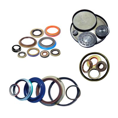 NQKSF China Plant Manufactures Automotive Oil Seals Shaft Seal
