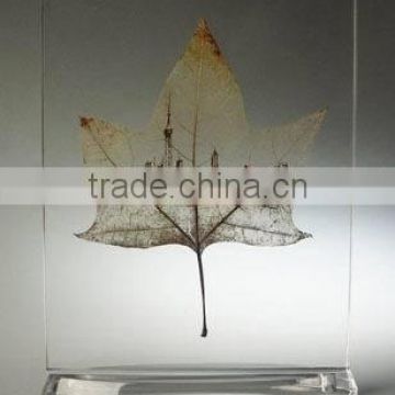 Acrylic Paperweight with Leaf Embedment
