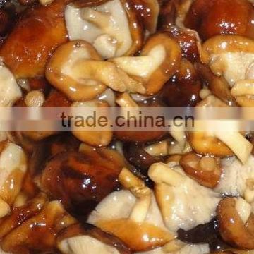 shiitake mushroom in brine