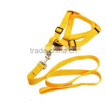 custom retractable dog leash