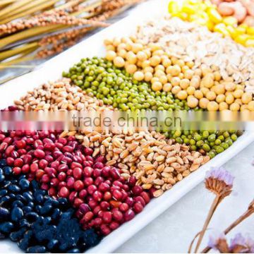 all kinds of kidney beans Non-Gmo pulses hou sale crop