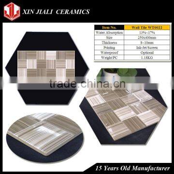 250x400MM WT0021 Ceramic Wall Tile