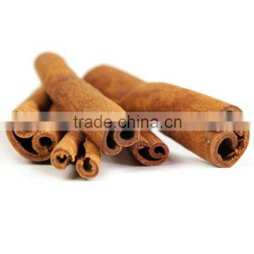 Cassia Sticks