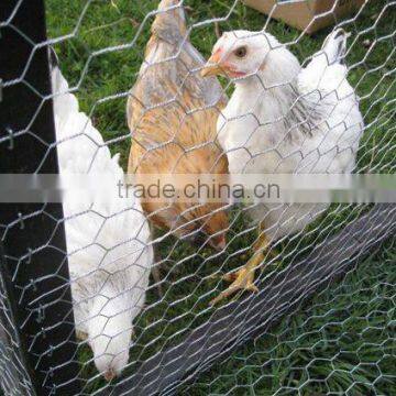 galvanised hexagonal wire mesh for chicken