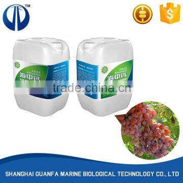 Top sale guaranteed quality fertilizer sugar cane