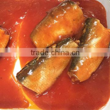 155g Canned Sardine in Tomato Sauce for Export