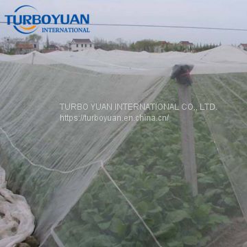 Cheap price 50 mesh anti insect netting / insect screen mesh for sale of Insect  net from China Suppliers - 159082871