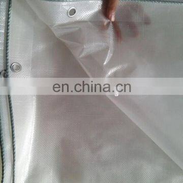 0.3mm-2.0mm transparent polypropylene sheet