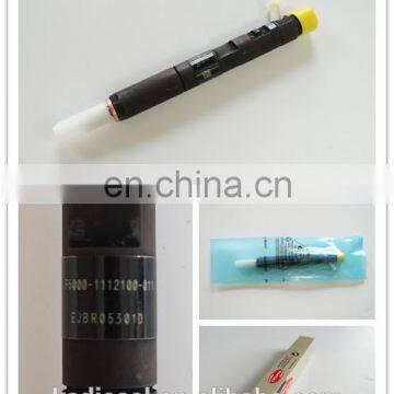 High Quality Car Diesel Common Rail Injector EJBR05301D