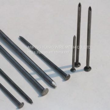 1''-6'' Polished common wire nails