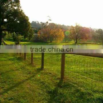 Galvanised Hinged Joint Cattle fencing for Australia