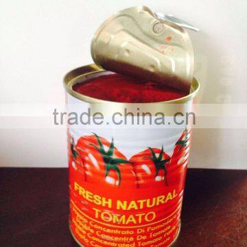 tin can tomato paste/sauce
