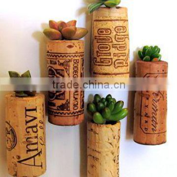 Succulent wine cork