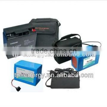 Rechargeable LiFePO4 24V Battery Pack