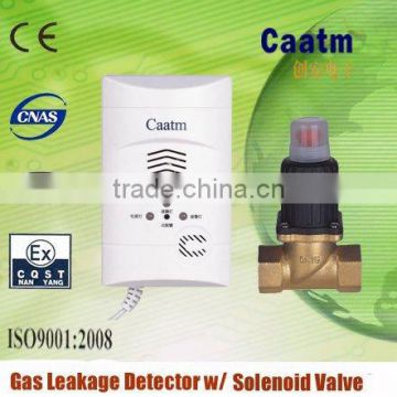 Independent/Standalone Gas leak detector for home usage