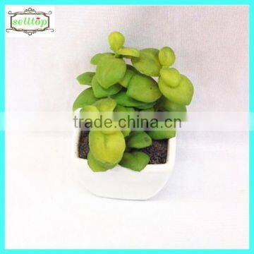 14cm hot sale new design artificial plant sale artificial indoor plants