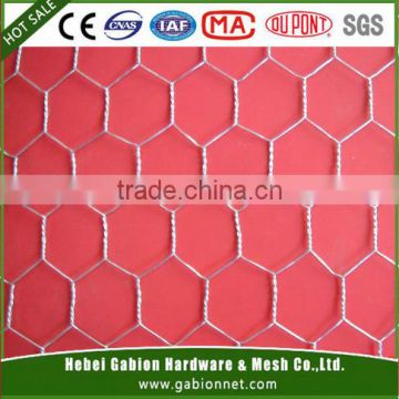 1-1/4'' , Wire Gauge (BWG)mesh 22,21,20,19,18 electric chicken wire mes