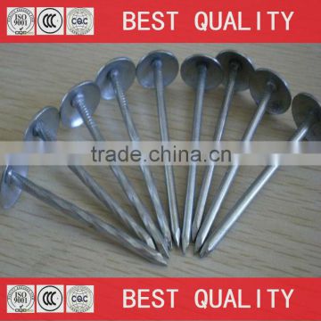 BWG8 iron roofing nail with umbrella head