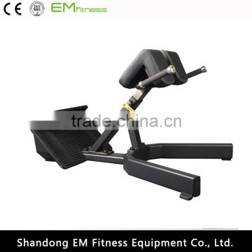 China supplier back extension gym equipment