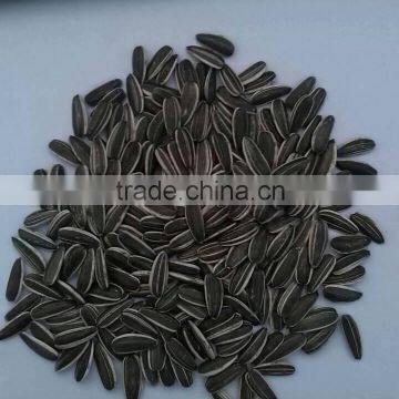 sunflower seeds for sale good price