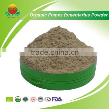 Best Seller of Organic Fomes fomentarius Powder