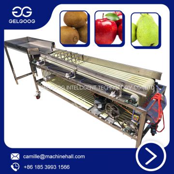 Orbital Type Fruit Sorting Machine Factory Price Vegetable Classifying Machine