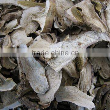 Wild dried white porcini mushroom