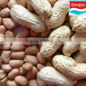 bulk Fair trade peanuts 40/50