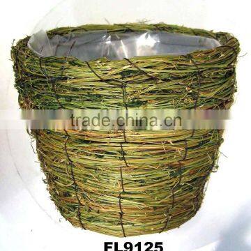 Grass Gardening Flower Pot