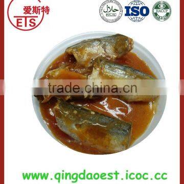 Canned mackerel in tomato sauce from shandong province