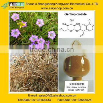 Chinese Gentian extract, Gentiopicrin 3% -10%, Gentiana rigescens Franch.