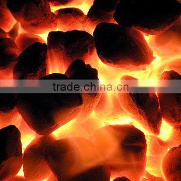 Top Quality Pillow Shaped Cocoshell Char Briquette