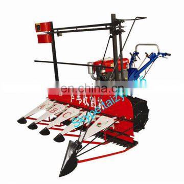 Reeds cutting machine reeds harvesting machine/harvester