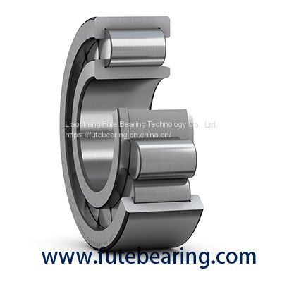 INA F-91546 bearing full complement roller bearing