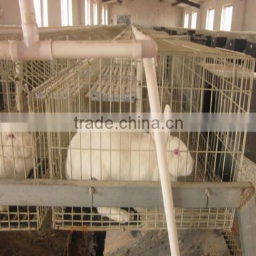 Hot Selling low cost large rabbit cages