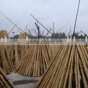 large bamboo pole