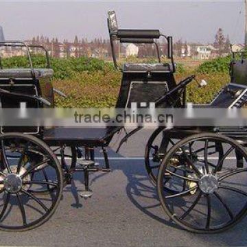 Tourist marathon horse cart