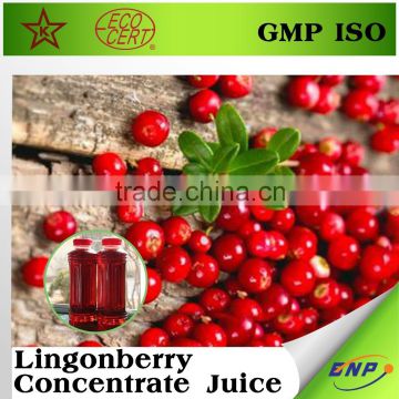 Lingonberry Concentrate bulk fruit juice