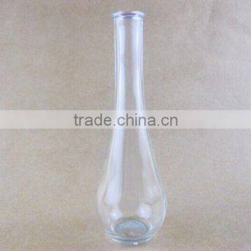 clear glass vase / flower bottle