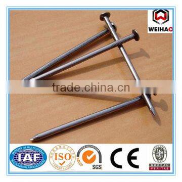 Building common wire nail, Construction Common nail iron nail factory