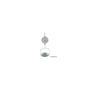 Sell Hanging Scale DP-G005