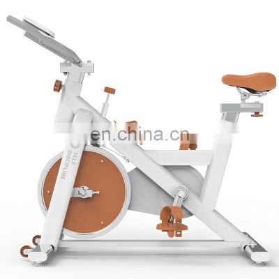 SD-S79 Drop Shipping Body Building Indoor Spin Cycle Exercise Spin Bike