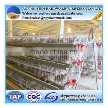 hot sale !!!high quality automatic quail cage for sale