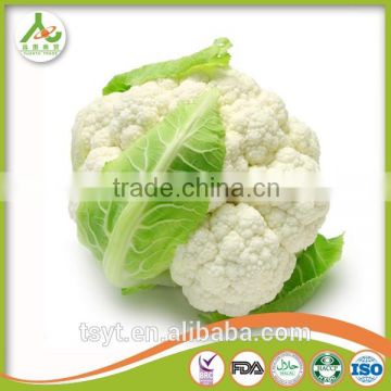 with Best Quality For SaleChina New Crop Fresh white Cauliflower